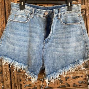 Blank NYC Daisy Dukes